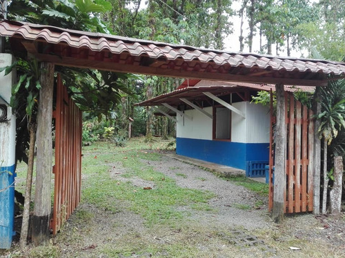 Imagen 3 de 14 de Quinta (3.2ha) Cabaña, Piscina Con Deck, Rancho Y Cabinas.