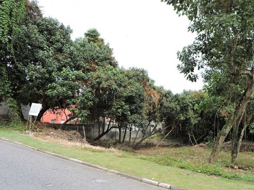 Terreno Em Carapicuíba - São Paulo - Te0073_suit