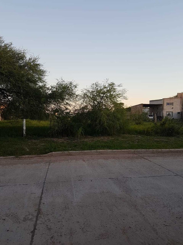 Imagen 2 de 8 de Útimo Terreno Sobre Asfalto En Zona Sur!