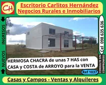 Comprar 6) Chacras, Campos, Terrenos, Casas, Locales Comerciales, Galpones, Estancias, Apartamentos P.h. , Para La Venta Y Para Alquilar, Arrendar, En San José