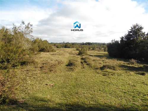 Imagen 22 de 24 de Sitio En Venta En Calbuco