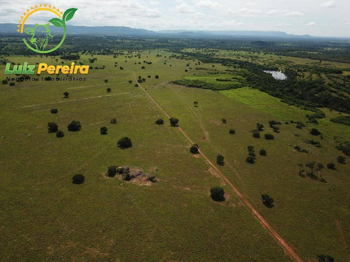 Imagem 5 de 15 de Fazenda À Venda Em Fátima - To-excelente P/ Lavoura, Plantio De Até 800 Hec - 1617