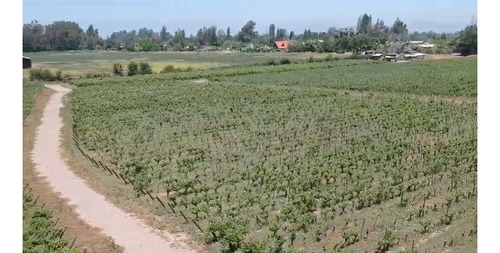 M64218 - Venta Terreno Viñas De Buin Sin Comision - 10 Ha