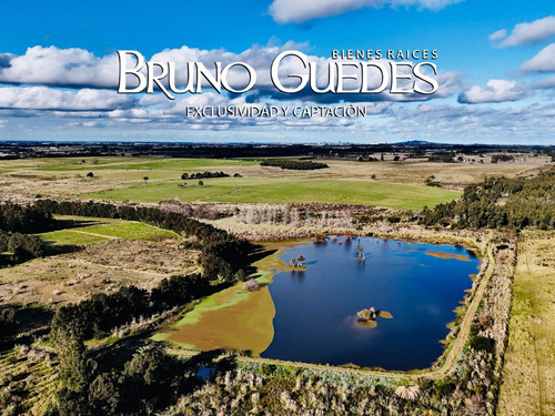 Campo En Venta Punta Espinillo 9,4 Ideal Emprendimientos Montevideo Rural