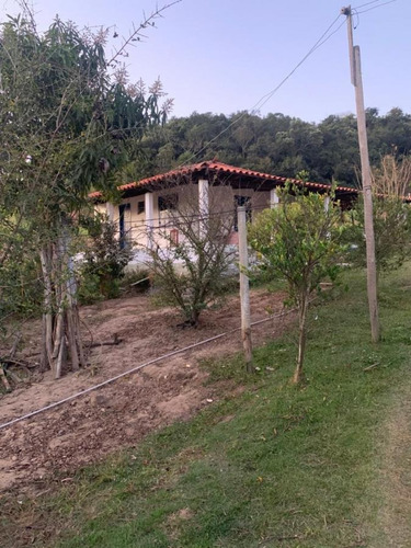 Imagem 8 de 15 de Fazenda Para Venda Em Crucilândia, Braúna, 3 Dormitórios, 1 Suíte, 1 Banheiro - F18_1-1925642