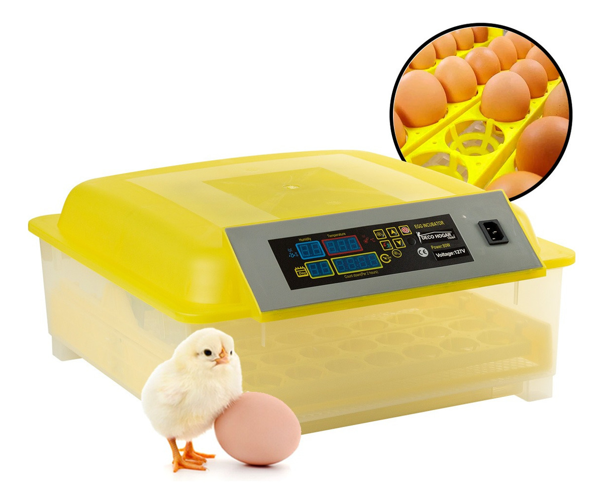Incubadoras para huevos de aves más vendidos de 2025: ¡Descubre las mejores!