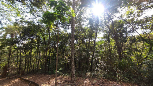 Imagem 12 de 25 de Lotes Em Condomínio Para Comprar No Condomínio Aldeia Da Cachoeira Das Pedras Em Brumadinho/mg - 2420