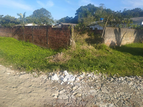 Imagem 10 de 10 de Terreno À Venda, Primavera, Pontal Do Parana - Pr - 239