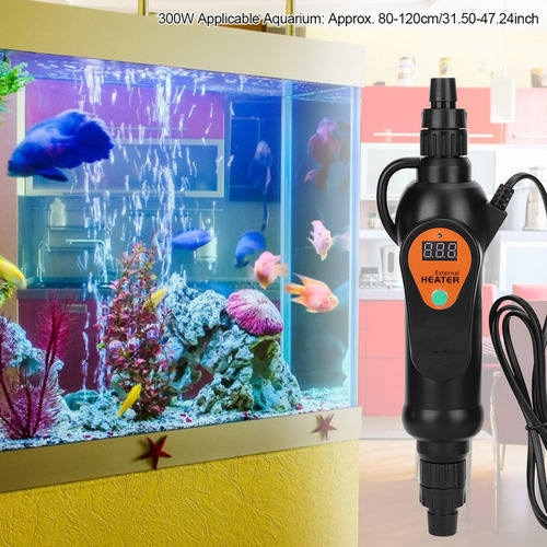 A Temperatura Externa Del Acuario Con Varilla Calefactora