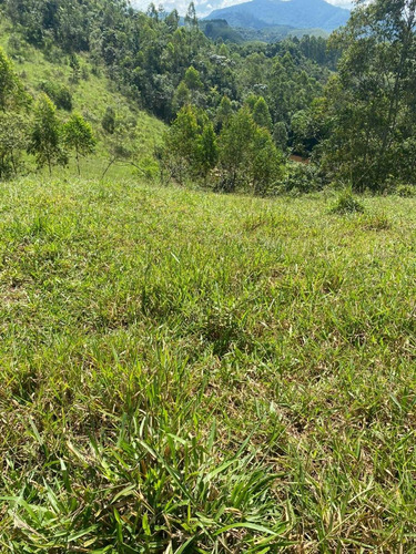 Imagem 12 de 21 de K06- Tenho O Terreno Que Você Procura