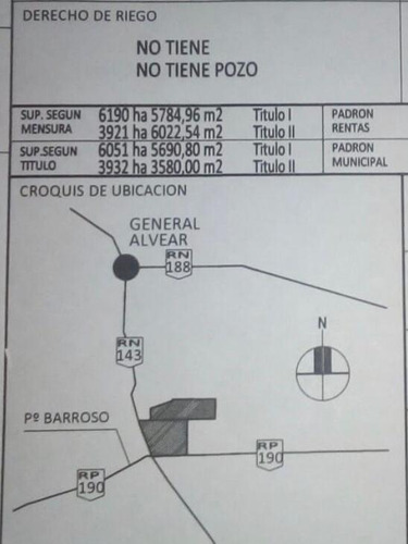 Campo - General Alvear