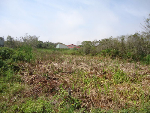 Terreno Em Itanhaém Com Projeto Aprovado