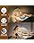 Izell Book Light, Luz De Lectura Led Con Clip [3 Modos De Co
