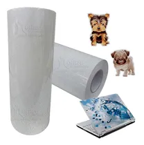 Comprar Vinilo Autoadhesivo Glitter Plata Sublimable Stickers 30cm