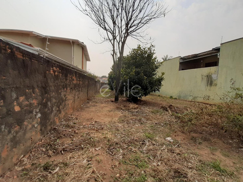 Terreno À Venda Em Jardim Proença I - Te006684