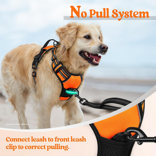 Arnés Para Perros Rabbitgoo, Antideslizante, Ajustable, L