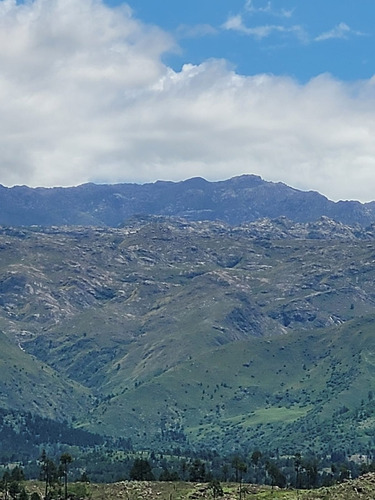 Venta De Chacra De Diez Hectáreas En Athos Pampa - Tlc0027
