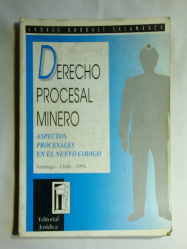 Derecho Procesal Minero.