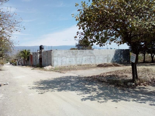 Imagen 1 de 8 de Terreno En Venta Las Flechas