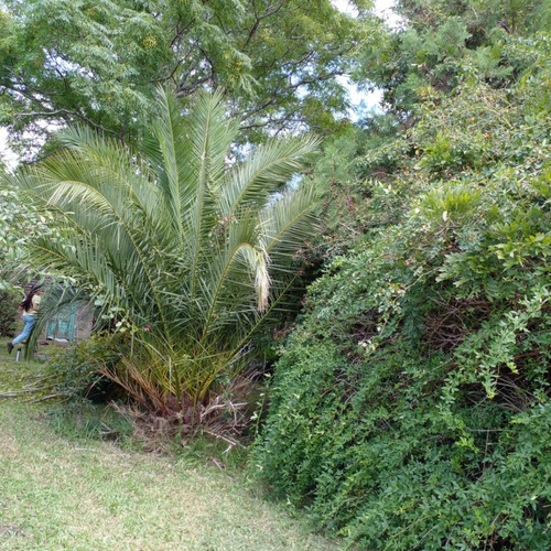 Oportunidad!!! Venta Casa 2 Dormitorios Reboledo Con Cochera