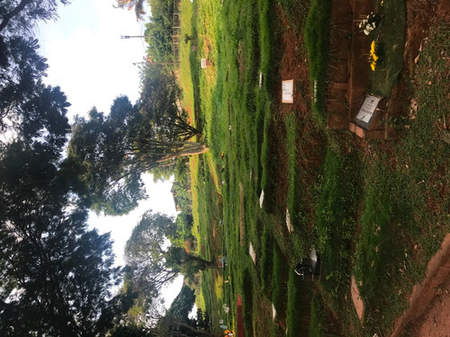 Imagen 3 de 6 de Vendo Lote Sencillo (cementerio Jardines De La Aurora)