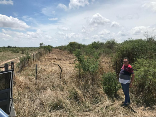Campo En Venta 2113 Ha. En Villa De María De Río Seco - Cordoba