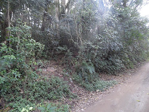 Imagem 2 de 4 de Terreno Em Serra Da Cantareira - São Paulo, Sp - 142435