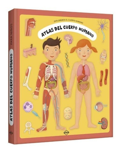 Libro Atlas Del Cuerpo Humano Original Nuevo Lexus