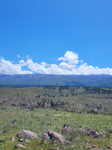 Venta De Chacra De Diez Hectáreas En Athos Pampa - Tlc0027