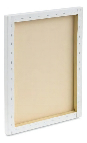 Tela De Pintura 20x30 Kit Com 20 Unidades - Real
