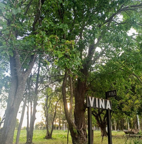Quinta Con Pileta Y Parrilla Amplio Terreno En Viña Arrecifes