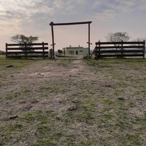 Muy Buen Campo Ganadero Criador, Con Aptitud Forestal, Muy Buenas Aguadas, En Treinta Y Tres