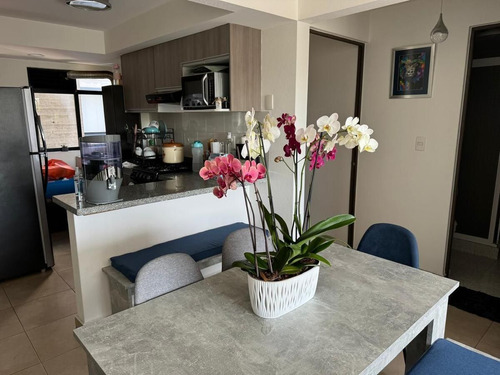 Colonia Anahuac - Laguna De Guzman - Depto Venta