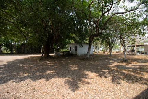 Empacadora-bodega En Venta En Chontalpa, Huimanguillo, Tabasco