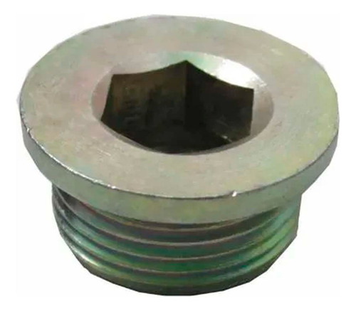 Bujao Carter Motor Ducato Daily - 16993411