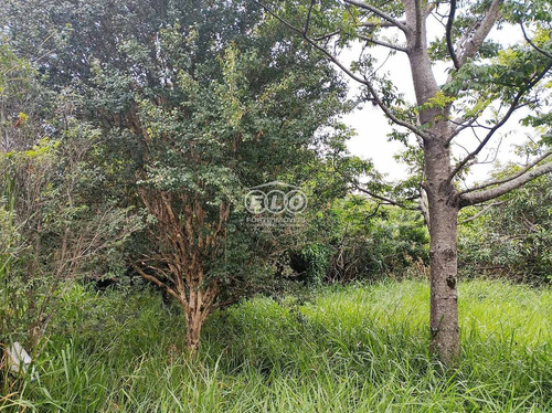 Imagem 6 de 22 de Chácara Com Pomar No Bairro Chácaras Videiras De Itaici/indaiatuba-sp At 1800m² / Ac 122m² Área Rural, Garagem Com Calçamento Folheta, Casa Com - Ch00437 - 70827379