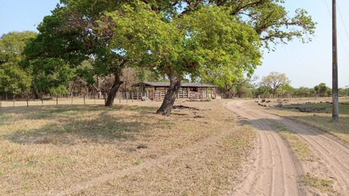 Fazenda Para Gado A Venda Em Rincao-sp, Taquaral, Com 50 Alqueires, Casa, Curral, Bem Cercada, Rio Mogi Na Divisa - Fa00030 - 68545798