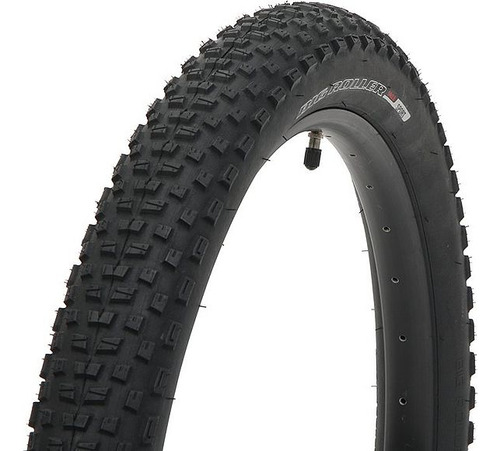 Llanta De Mixto Specialized Big Roller 20x2.8 Color Negro