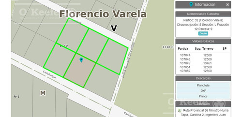 Lote / Terreno / Predio Industrial / Comercial En Venta De 6,3 Has En Florencio Varela