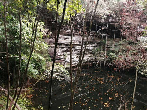 Terreno Con Cenote Al Descubierto A 25 Minutos De Valladolid