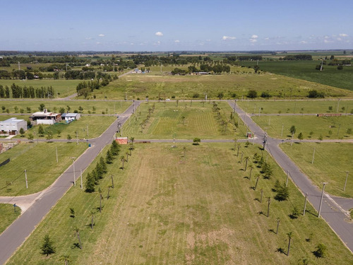 Imagen 10 de 27 de Terrenos Con Financiación En Lomas De Alicia, Baigorria