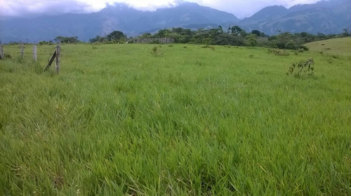 Imagen 3 de 7 de Lotes En Venta Entre Cumaral Y Restrepo Meta