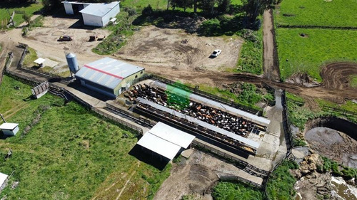 Imagen 13 de 18 de Predio Agrícola En Frutillar