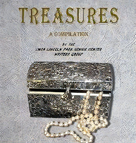 Treasures, De Ymca Lincoln Park Senior Center. Editorial Doodle And Peck Publishing, Tapa Dura En Inglés