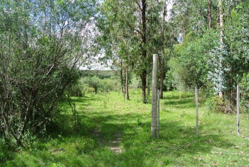 Campo En Venta