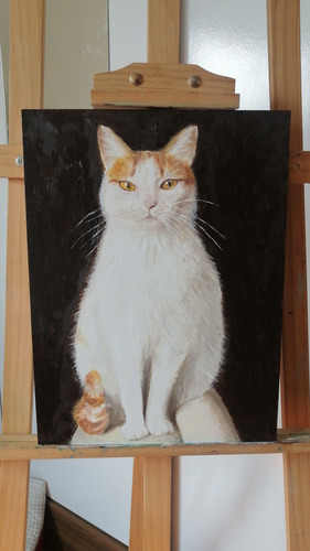 Pintura Por Encargo Mascotas Personalizada Lienzo 40x50cm