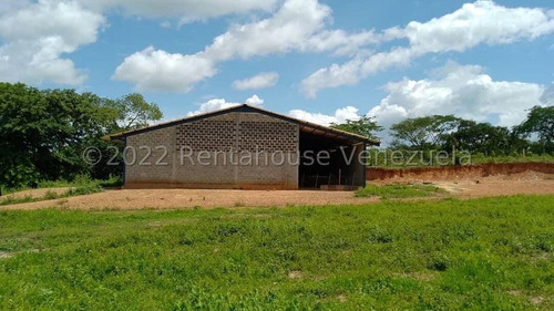 Imagen 7 de 30 de Finca Productora (ganado Levante) En San Carlos 23-416 //invierta Seguro Con Rentahouse//