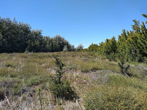 Imagen 8 de 8 de Hermoso Lote Frente Al Lago Huechulafquen