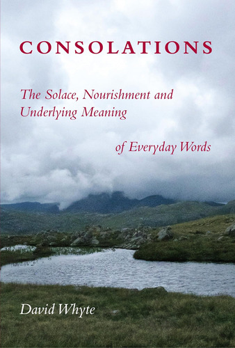 Libro: Consolations: The Solace, Nourishment And Underlying 
