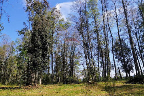 Venta De Parcela En Folilco, Region De Los Lagos